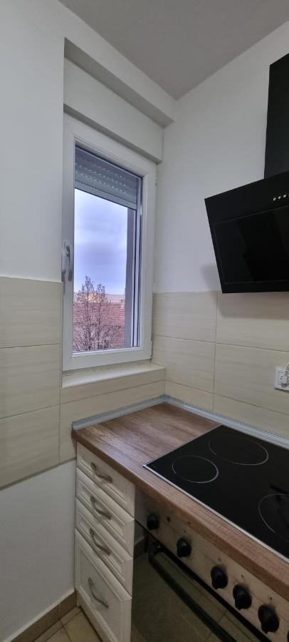 Grove II Apartment = Strict City Centre Нови Сад Екстериор снимка